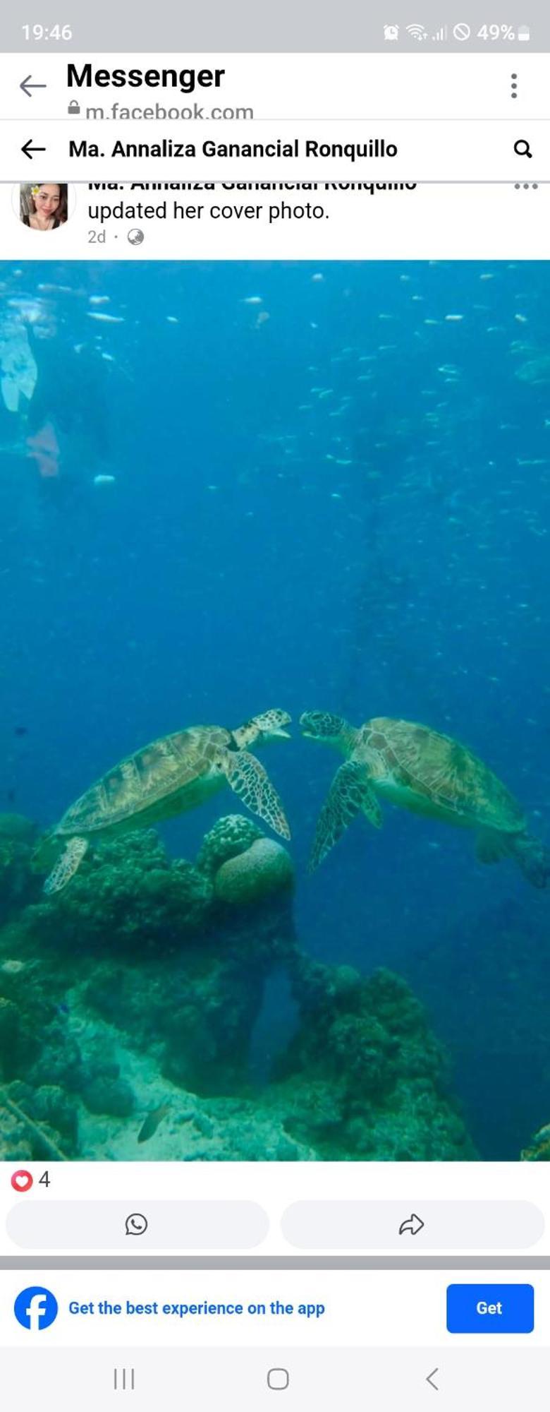 Nirvana Bamboo Houses & Dive Resort Moalboal Exterior foto