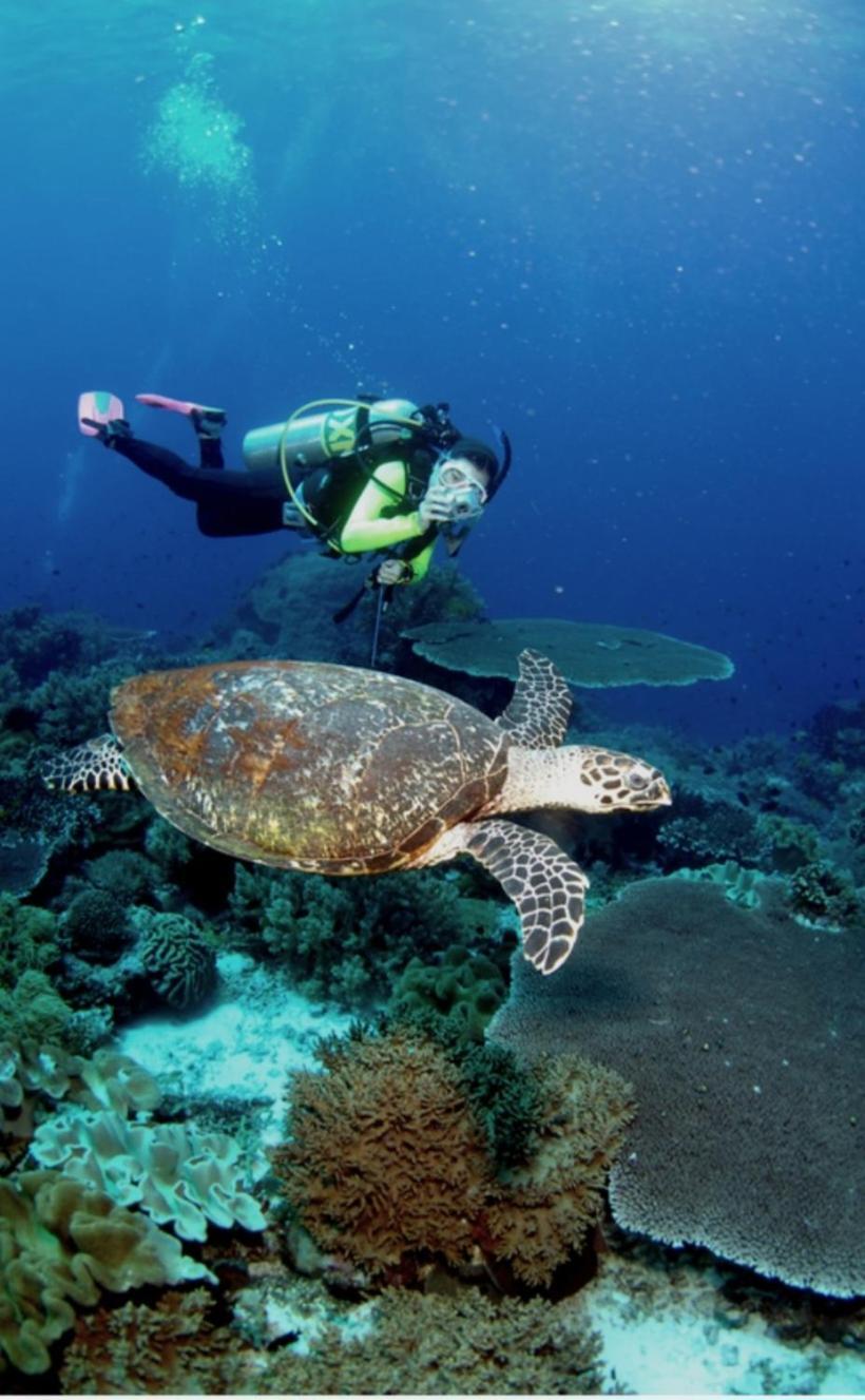 Nirvana Bamboo Houses & Dive Resort Moalboal Exterior foto