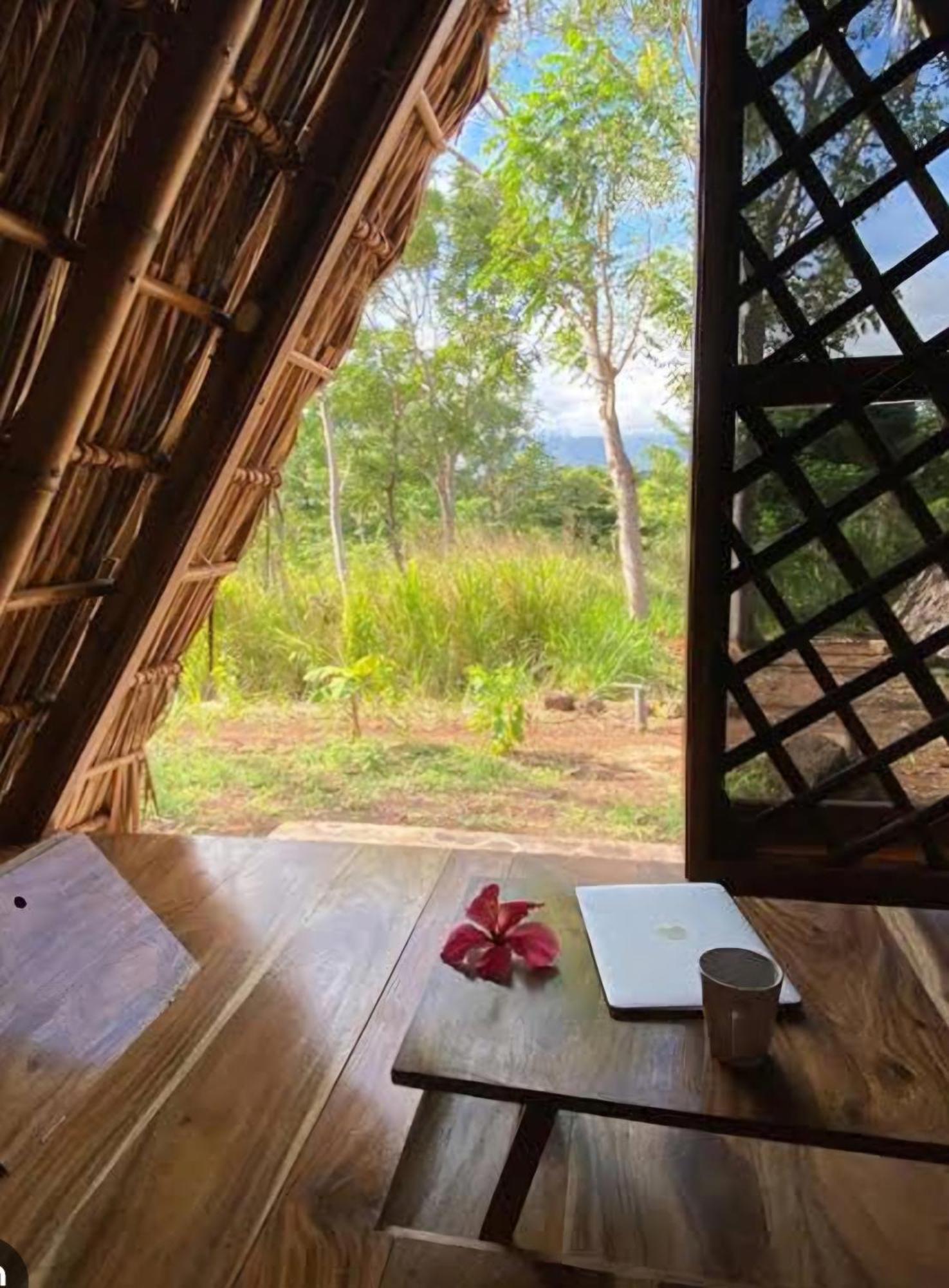 Nirvana Bamboo Houses & Dive Resort Moalboal Exterior foto